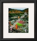 Rice-Eccles Stadium University of Utah Utes 2008
