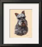 Schnauzer