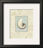 Buy Soothing Words Shells II at AllPosters.com