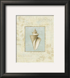 Buy Soothing Words Shells III at AllPosters.com