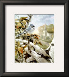 Buy Autumn Shades at AllPosters.com