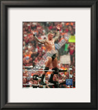 Buy Randy Orton Wrestlemania at AllPosters.com