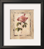 Rose Texture I