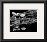 Reflections on Water