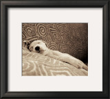 Buy Dog Tired at AllPosters.com