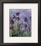 Buy Irises at AllPosters.com