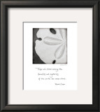 Buy Sand Dollar at AllPosters.com