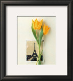 Buy Tulip, Euro-Floral at AllPosters.com