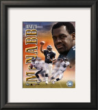 Donovan McNabb Portrait Plus