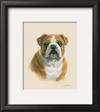 Buy English Bulldog at AllPosters.com