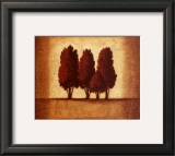Buy Embossed Cypress at AllPosters.com
