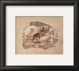 African Odyssey, Lions