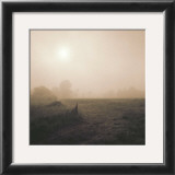Buy Bordeaux Sunrise at AllPosters.com