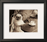 Cafe Pug