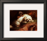 Buy Playful Encounter at AllPosters.com