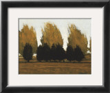 Buy Near Vado at AllPosters.com