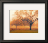 Buy Memory of Trees at AllPosters.com