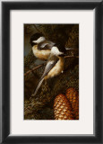 Buy Chickadees at AllPosters.com