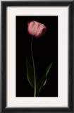 Buy Grace II at AllPosters.com