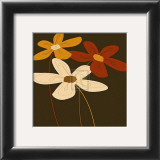 Buy Earth Blooms IV at AllPosters.com