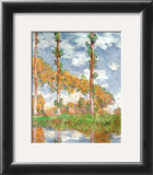 Poplars at Giverny