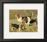 Buy Basset Hounds at AllPosters.com