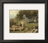 Buy Terriers at AllPosters.com