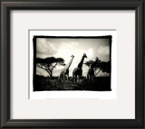 Buy Long Necks II at AllPosters.com
