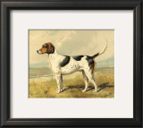 Buy Fox Hound at AllPosters.com