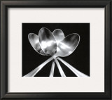 Buy Spoons at AllPosters.com