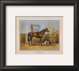 Buy Sea Biscuit at AllPosters.com