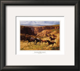 Buy Canyon Mustangs at AllPosters.com