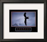 Buy Bald Eagle at AllPosters.com