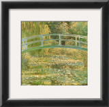 Water Lily Pond
