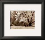 Buy Arboretum Gardens at AllPosters.com