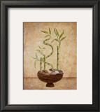 Bamboo, Luck