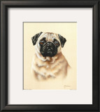 Buy Pug at AllPosters.com