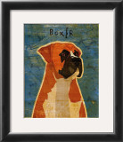 Boxer