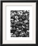 Buy Forms of Technology II, c.1955 at AllPosters.com