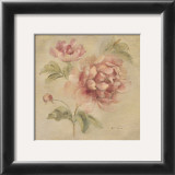 Coral Rose on Antique Linen