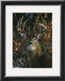 Buy An Autumn Gentleman at AllPosters.com