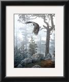 Shrouded Forest
