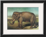 Buy Elephant at AllPosters.com