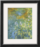 Buy Yellow Iris at AllPosters.com
