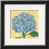 Happiness, Hydrangea