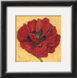 Believe, Poppy Framed Art Print