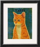 Tabby (orange)