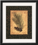 Buy White Pine at AllPosters.com
