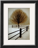 Buy Solitude at AllPosters.com