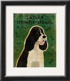 English Springer Spaniel (black and white)